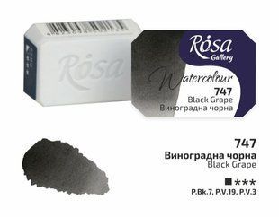 Краска акварельная виноградная чорная кювета 2,5 мл Rosa Gallery, 343747 4248 фото