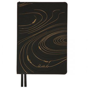 Ежедневник А5 датированный 2026 мягкий черный 368 стр. Enigma Leo Planner, 252700 8880 фото