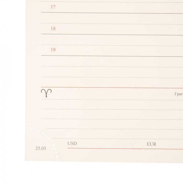 Щоденник А5 датований 2026 мякий чорний 368 стор Velvet Leo Planner, 252638 8884 фото