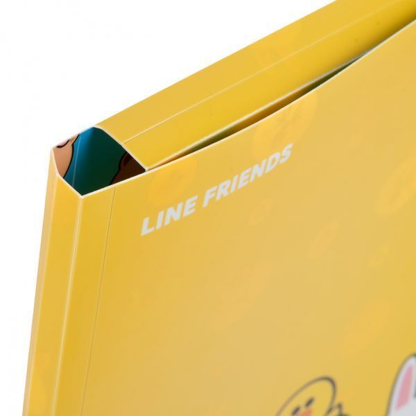 Папка A4 на резинке Line Friends YES, 492098 7450 фото