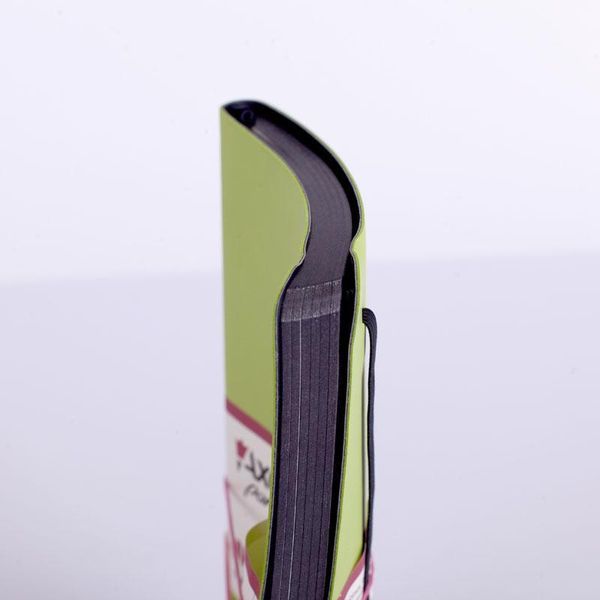 Книга записная А5 125х195 мм клетка 96 листов салатовая Partner Soft Axent 8206-09-A, 36936 7953 фото